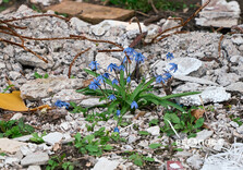На Північній Салтівці у Харкові продовжуються відновлювальні роботи (фото)