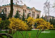 У Харкові цвіте форзиція і магнолії (фото)