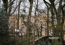 У Харкові цвіте форзиція і магнолії (фото)