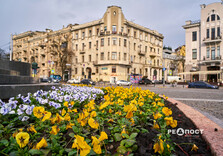 У Харкові цвіте форзиція і магнолії (фото)