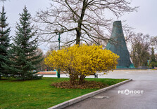 У Харкові цвіте форзиція і магнолії (фото)