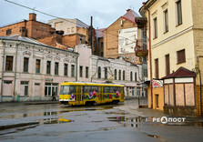 У Харкові цвіте форзиція і магнолії (фото)