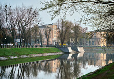 У Харкові цвіте форзиція і магнолії (фото)