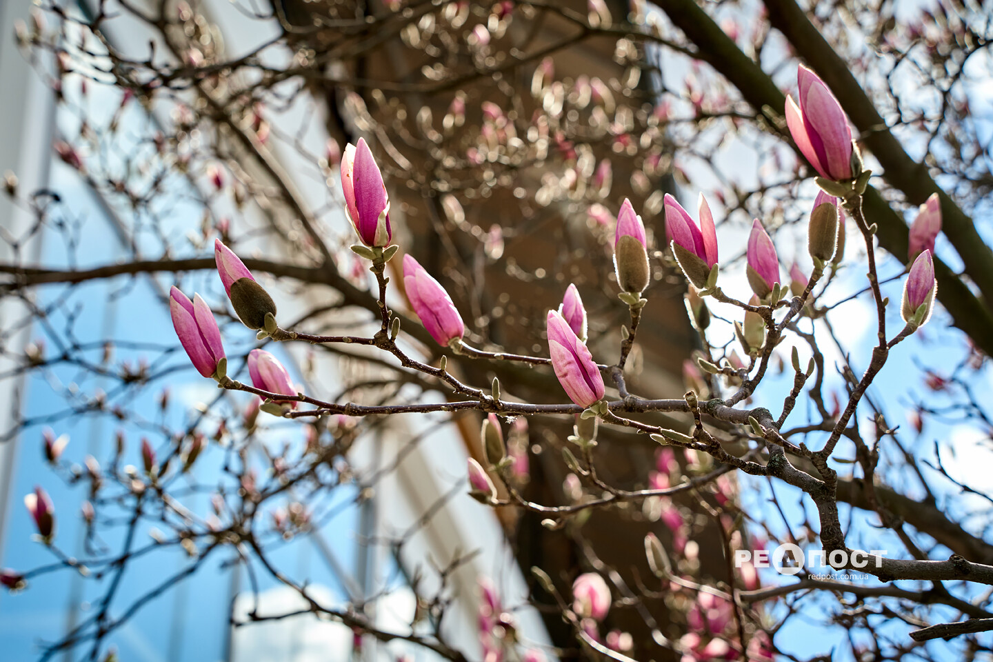 Якою буде погода в Харкові у вихідні: прогноз синоптиків