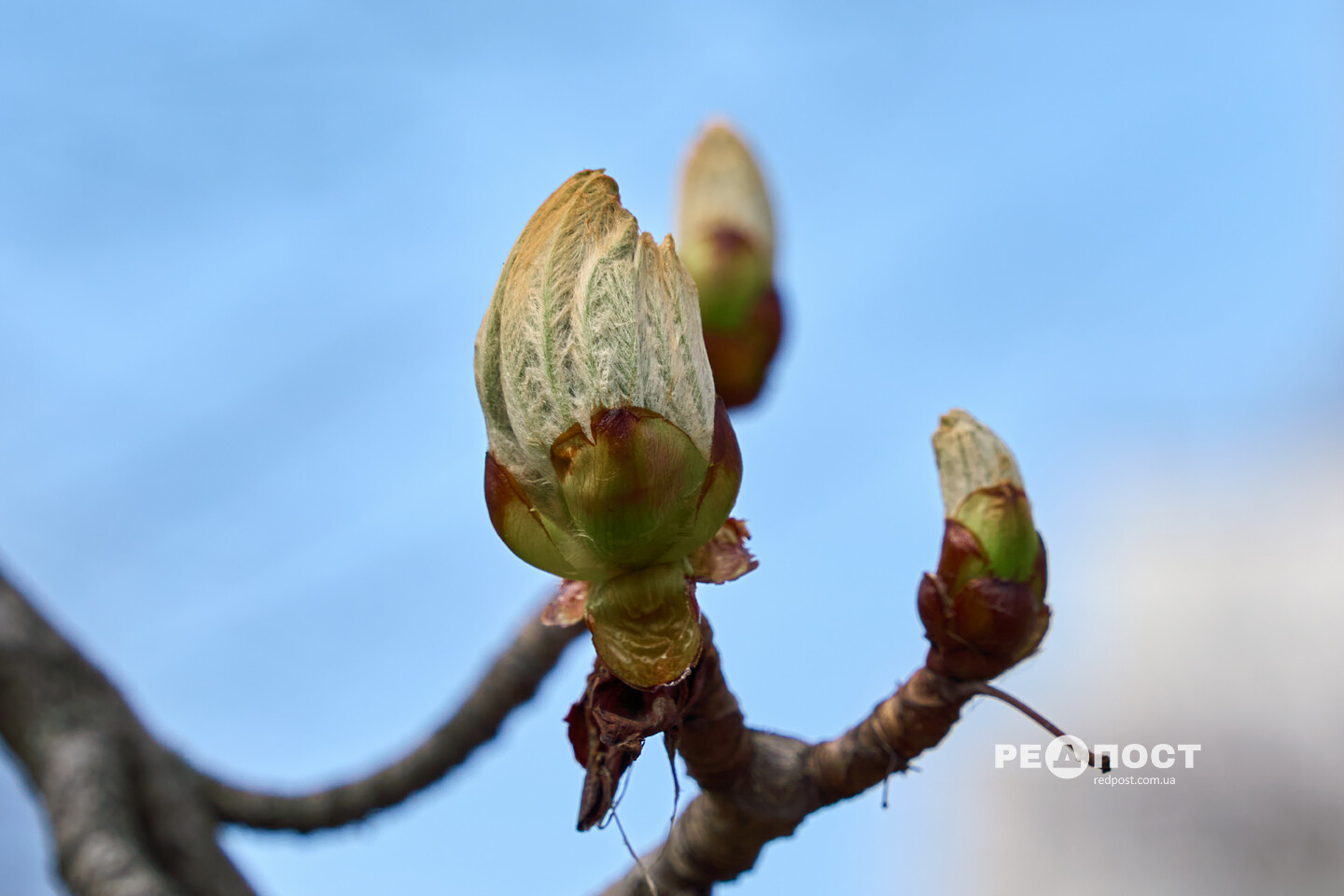 Тиждень погодних змін: коли у Харкові стане по-справжньому тепло