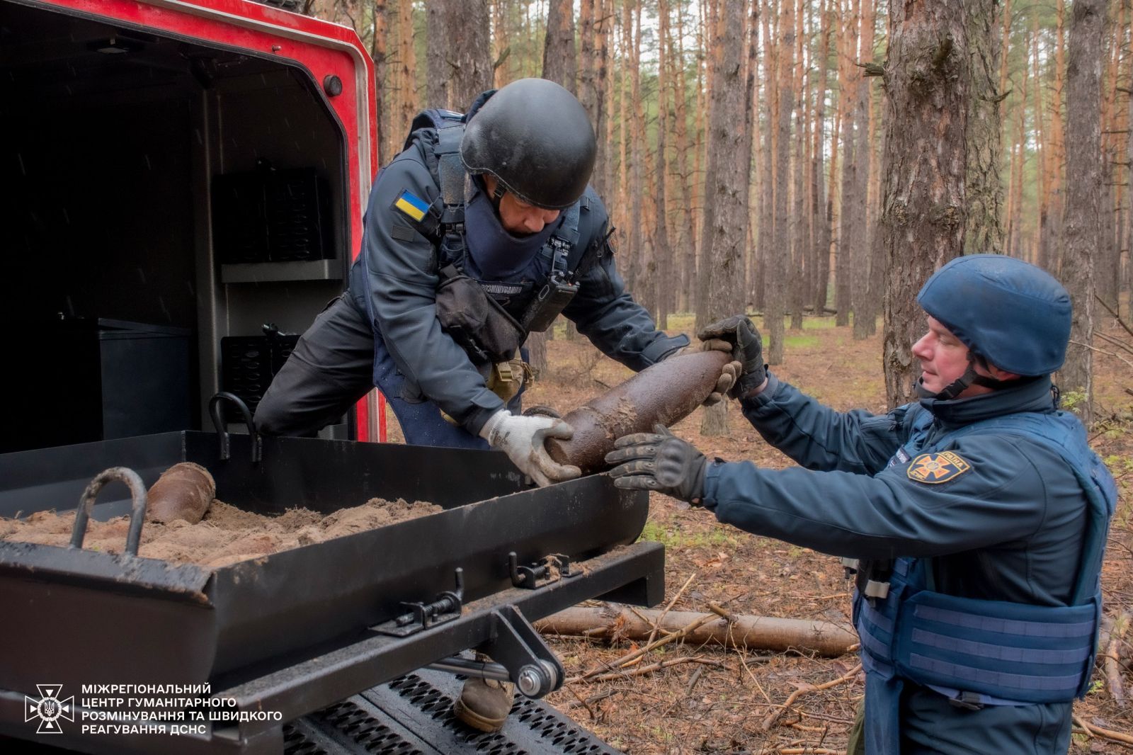 Смертельна знахідка у лісі: на Харківщині знищили великий арсенал боєприпасів часів Другої світової (фото)