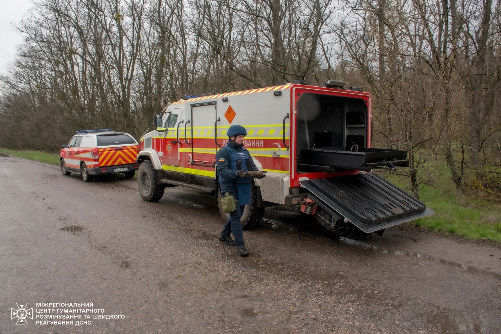 Смертельна знахідка у лісі: на Харківщині знищили великий арсенал боєприпасів часів Другої світової (фото)