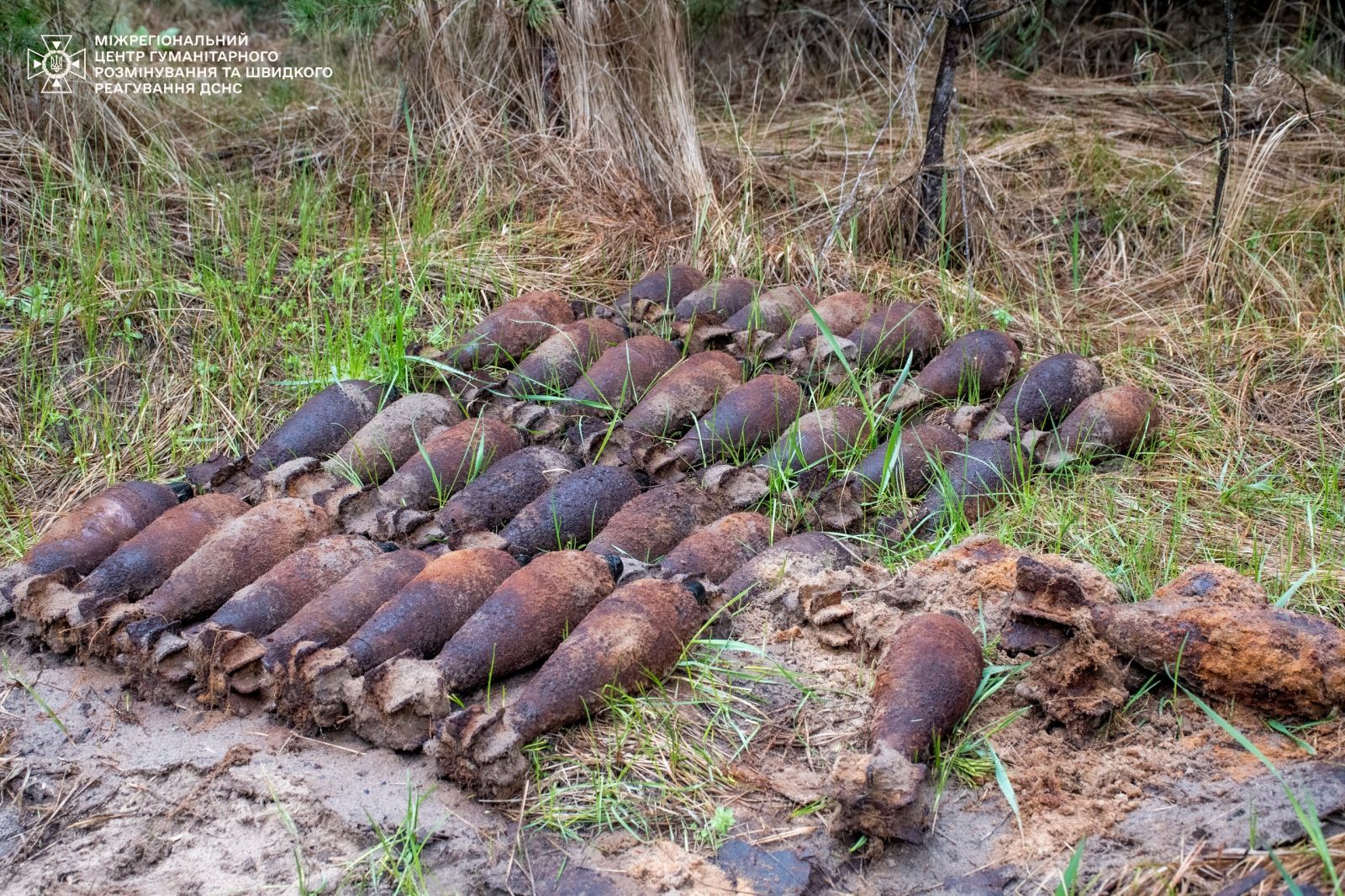 Смертельна знахідка у лісі: на Харківщині знищили великий арсенал боєприпасів часів Другої світової (фото)