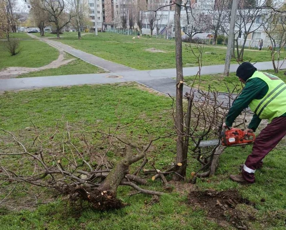 Впали та поламані десятки дерев через буревій у місті: Новини Харкова