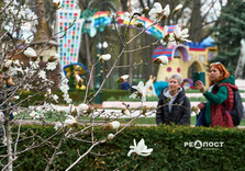 У Харкові розквітли магнолії (фото)