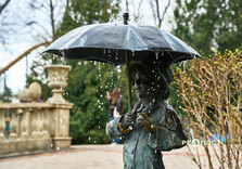 У Харкові розквітли магнолії (фото)