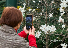 У Харкові розквітли магнолії (фото)