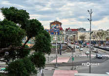 У Харкові розквітли магнолії (фото)