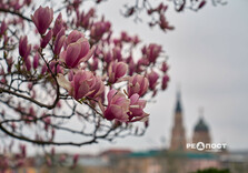 Харків сьогодні (фото)