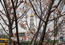 Харків сьогодні (фото)