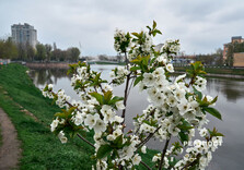 Харків сьогодні (фото)