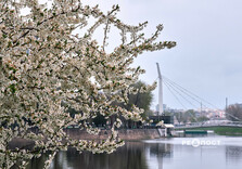 Харків сьогодні (фото)