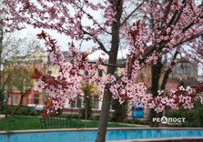 Харків сьогодні (фото)