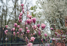 Харків сьогодні (фото)