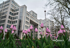 Харків сьогодні (фото)