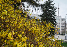 Харків сьогодні (фото)