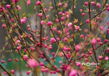 Озеро у Центральному парку Харкова готують до літнього сезону (фото)