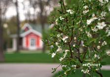 Озеро у Центральному парку Харкова готують до літнього сезону (фото)
