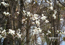 Озеро у Центральному парку Харкова готують до літнього сезону (фото)