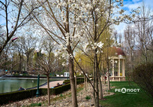 Озеро у Центральному парку Харкова готують до літнього сезону (фото)