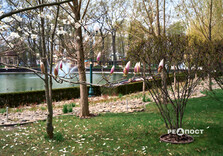 Озеро у Центральному парку Харкова готують до літнього сезону (фото)