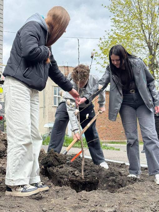 Новини Харкова: випускники висадили магнолії у ліцеї