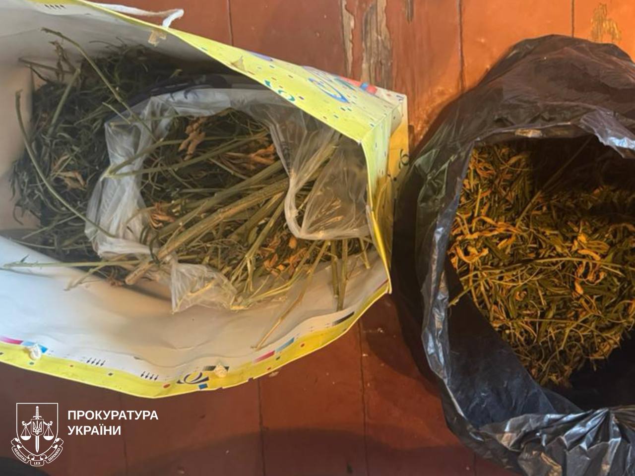 На Харківщині затримали молодика з гранатами та наркоплантацією вдома (фото)