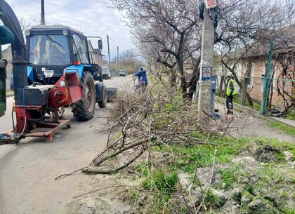 Від піску для малечі до обрізки дерев: комунальники Харкова наводять лад у приватному секторі (ФОТО)