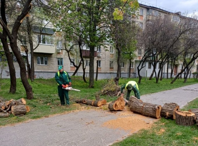 Новини Харкова: буревій повалив дерева місто