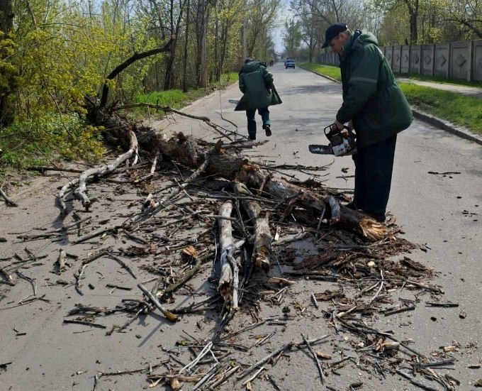 Новини Харкова: буревій повалив дерева місто