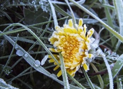 На Харківщині попередили про вітер до 20 м/с та нічні заморозки