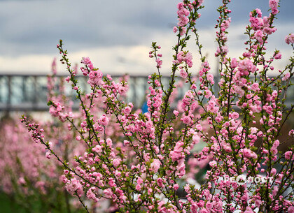 Чим живе Харків: головні події тижня – школи, інфраструктура та культурні події