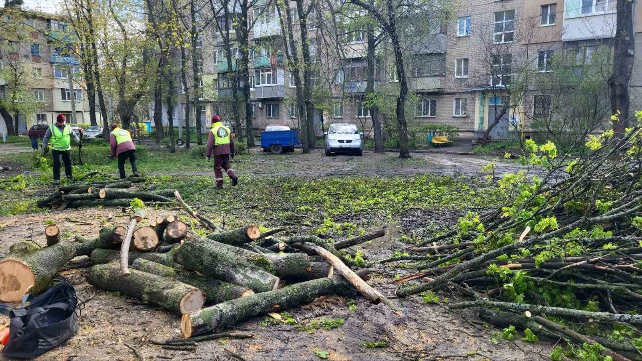 Новини Харкова: ліквідація наслідків сильного вітру