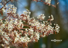 Харків наприкінці квітня (фото)