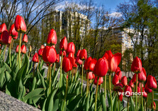 Харків наприкінці квітня (фото)