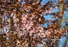 Харків наприкінці квітня (фото)