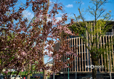 Харків наприкінці квітня (фото)