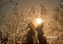 Харків наприкінці квітня (фото)