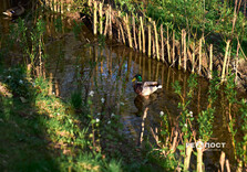 Харків наприкінці квітня (фото)