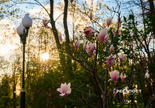 Харків наприкінці квітня (фото)