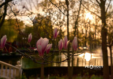 Харків наприкінці квітня (фото)