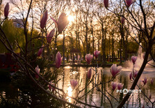 Харків наприкінці квітня (фото)