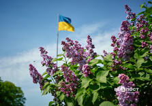 У Харкові цвіте бузок (фото)