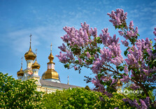 У Харкові цвіте бузок (фото)