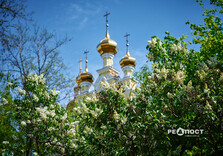 У Харкові цвіте бузок (фото)